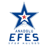 Anadolu Efes